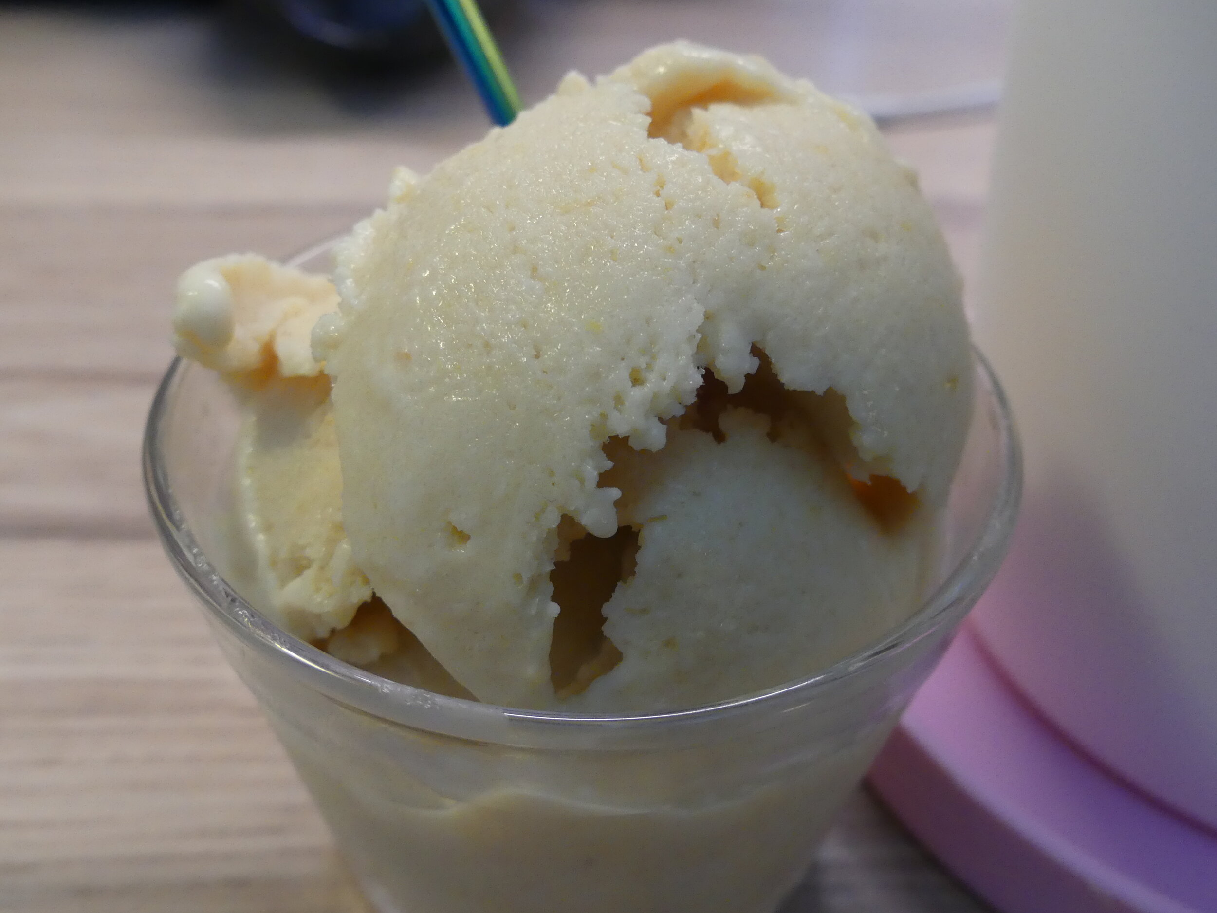 Instant Pot Blender – Making Peach Ice Cream